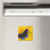 Foto van vlinder magneet (Insitu (Vaatwasser))