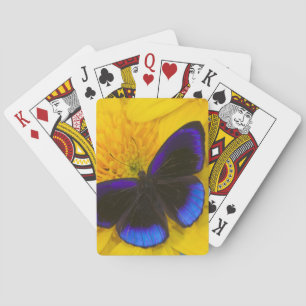 Foto van vlinder pokerkaarten