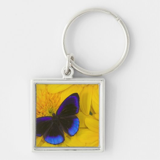 Foto van vlinder sleutelhanger (Voorkant)