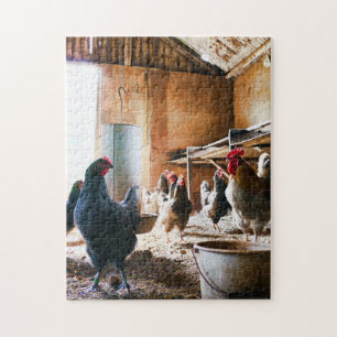 Foto van vogels Beste foto's van wilde dieren Legpuzzel