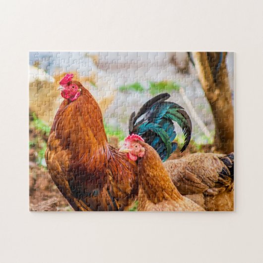 Foto van vogels Beste foto's van wilde dieren Legpuzzel (Horizontaal)