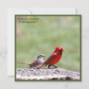 Foto van vogels en grafisch ~ risingdove.