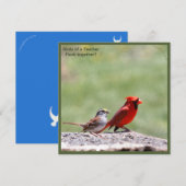 Foto van vogels en grafisch ~ risingdove. (Voorkant / Achterkant)