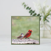 Foto van vogels en grafisch ~ risingdove. (Staand voorkant)