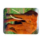 Foto van volwassen Afrikaanse olifant Magneet (Horizontaal)