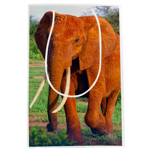 Foto van volwassen Afrikaanse olifant Medium Cadeauzakje (Voorkant)