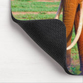 Foto van volwassen Afrikaanse olifant Muismat (Hoek)