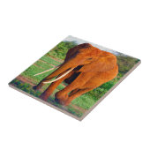 Foto van volwassen Afrikaanse olifant Tegeltje (Zijkant)