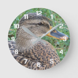 Foto van vrouwelijke wilde eend grote klok