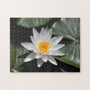 Foto van Water Lily Lotus Flower Beauful Afbeeldin Legpuzzel
