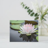 Foto van Water Lily Pink Floral Briefkaart (Staand voorkant)