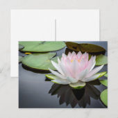 Foto van Water Lily Pink Floral Briefkaart (Voorkant / Achterkant)