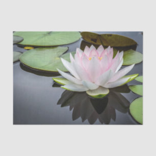 Foto van Water Lily Pink Floral Tissuepapier