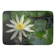 Foto van Water Lily White en Green
