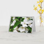 Foto van White Cherry Blossom met Green Foliage Kaart (Gele Bloem)