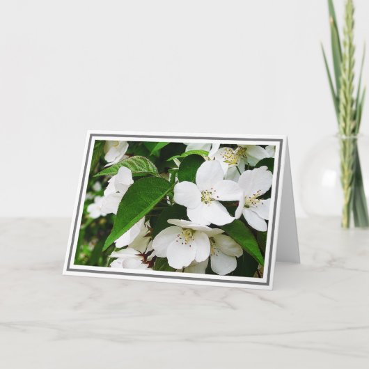 Foto van White Cherry Blossom met Green Foliage Kaart (Voorkant)