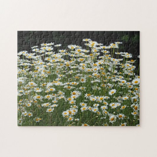  foto van White Daisies Floral Legpuzzel (Horizontaal)
