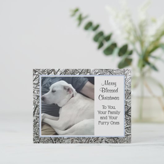 Foto van White Dog met Papa Winter Sneeuw Kerstmis Feestdagenkaart (Staand voorkant)