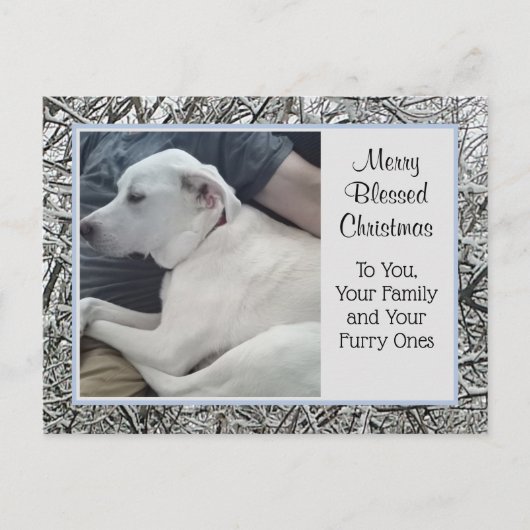 Foto van White Dog met Papa Winter Sneeuw Kerstmis Feestdagenkaart (Voorkant)