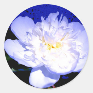 Foto van White en paars Peony Ronde Sticker