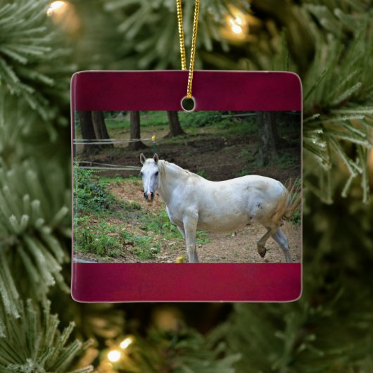 Foto van White Horse Keramisch Ornament (Boom)
