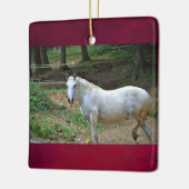 Foto van White Horse Keramisch Ornament (Links)