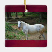 Foto van White Horse Keramisch Ornament (Voorkant)