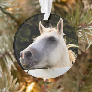 Foto van White Horse Ornament