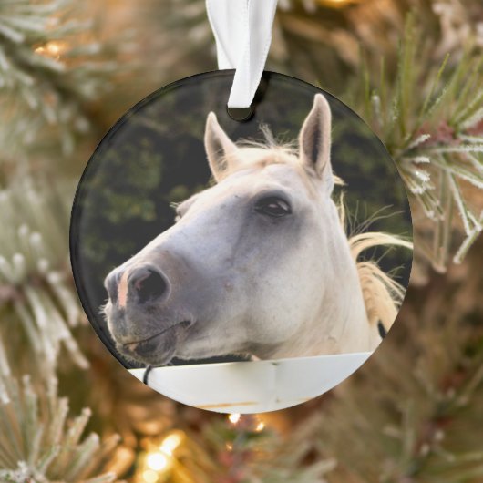 Foto van White Horse Ornament (Boom)