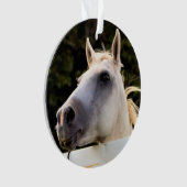 Foto van White Horse Ornament (voorkant)