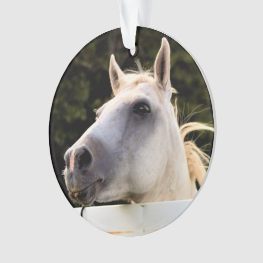 Foto van White Horse Ornament (voorkant)
