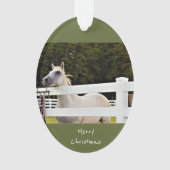 Foto van White Horse Ornament (voorkant)