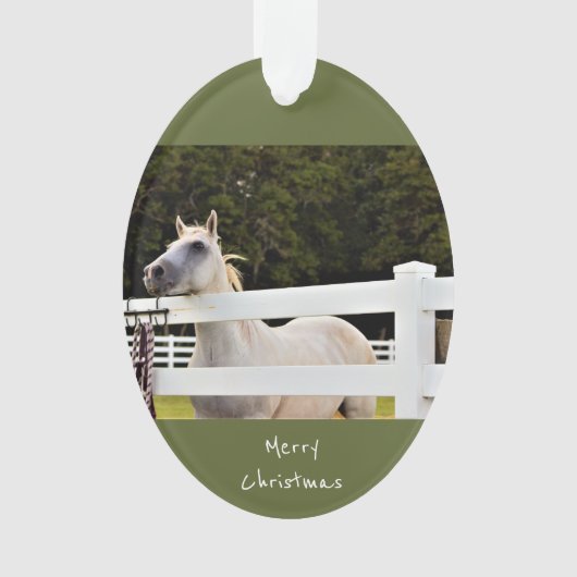 Foto van White Horse Ornament (voorkant)