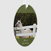 Foto van White Horse Ornament (voorkant)