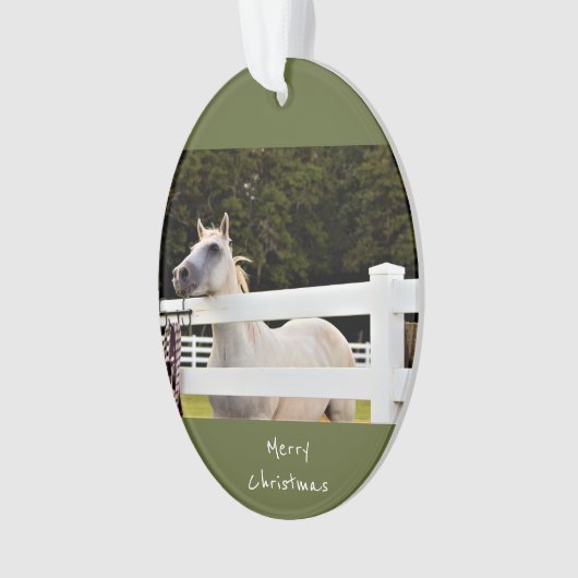 Foto van White Horse Ornament (voorkant)