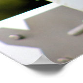 Foto van White Horse Poster (Hoek)