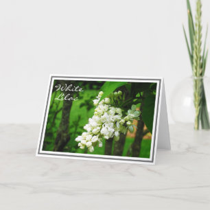 Foto van White Lila Flower Cluster Kaart