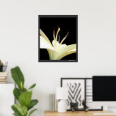 Foto van White Lily Flower Lilies Flowers Poster (Thuiskantoor)