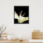 Foto van White Lily Flower Lilies Flowers Poster (Keuken)