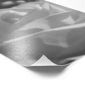 Foto van White Rose B&W Flower print Afdruk (Hoek)