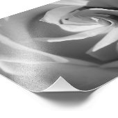 Foto van White Rose B&W Flower print Afdruk (Hoek)