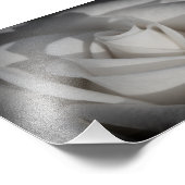 Foto van White Rose B&W Flower print Afdruk (Hoek)