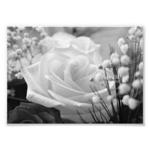 Foto van White Rose B&W Flower print Foto Afdruk