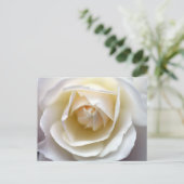 Foto van White Rose Briefkaart (Staand voorkant)