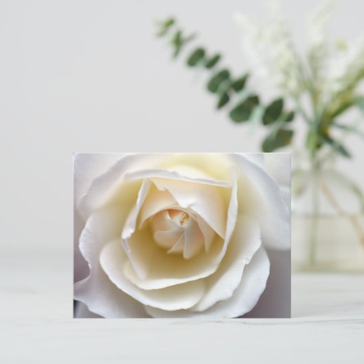 Foto van White Rose Briefkaart (Staand voorkant)