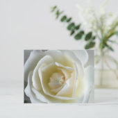 Foto van White Rose Briefkaart (Staand voorkant)