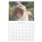 foto van wild dier kalender (Mar 2027)
