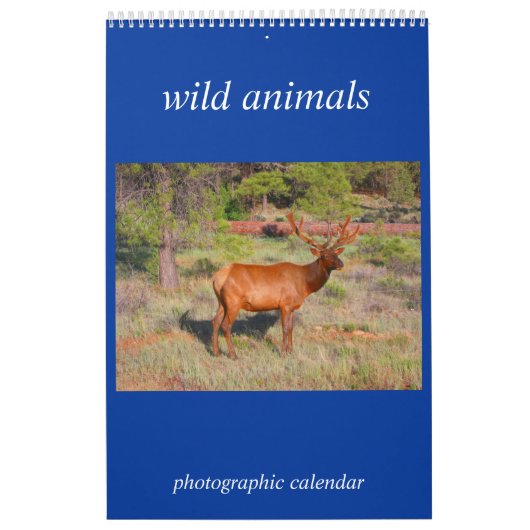 foto van wild dier kalender (Hoes)