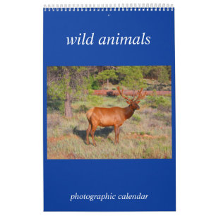 foto van wild dier kalender