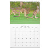 foto van wild dier kalender (Jan 2026)